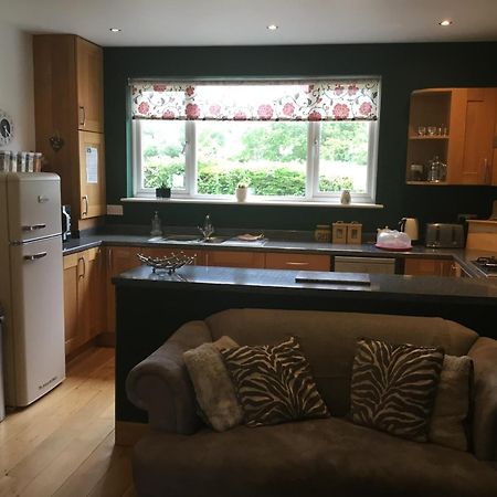 Willa Tyddyn Perthi Farm Llanberis Zewnętrze zdjęcie